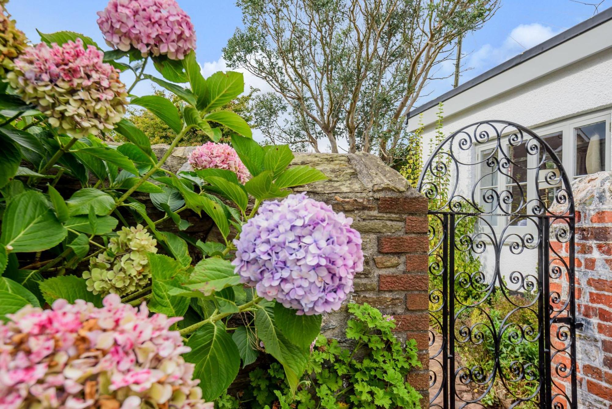 The Secret Garden Villa Malborough Eksteriør billede